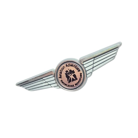 Airplane Flight Video Game Flight Simulator Promotional Pins & Buttons - Picture 3 of 9